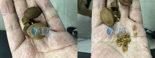 1651142775154289.jpg 33.jpg